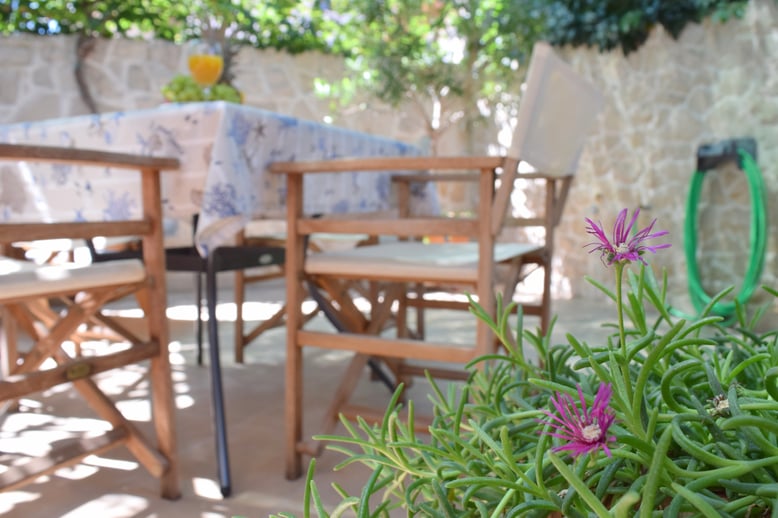 #povlja #islandbrac #wyspabrac #isolabrac #inselbrac #adriatic #sea #mare #meer #dalmatia #dalmazia #dalmatien #croatia #croazia #chorwacja #kroatien #apartmentspovlja #holidayapartments #vacation #vacanze #urlaub #flowers