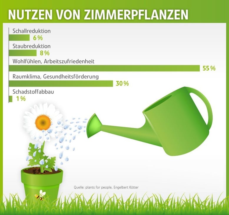 Nutzen von Zimmerpflanzen