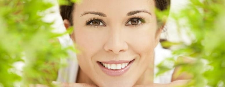 AMMON Raumbegrünung Wohlfühlen mit Pflanzen 