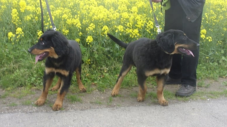 Baki (links) und Bastian (rechts) sind nicht wirklich überzeugt davon, ein Brüder-Vergleichsbild zu machen