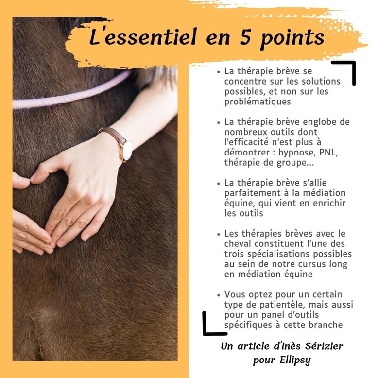 thérapie-brève-cheval-résumé
