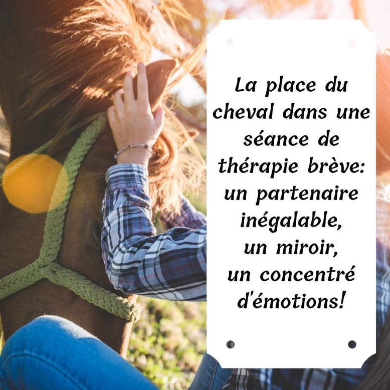 thérapie-brève-cheval-partenaire