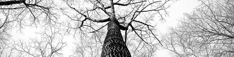 Guter oder schlechter Tag!