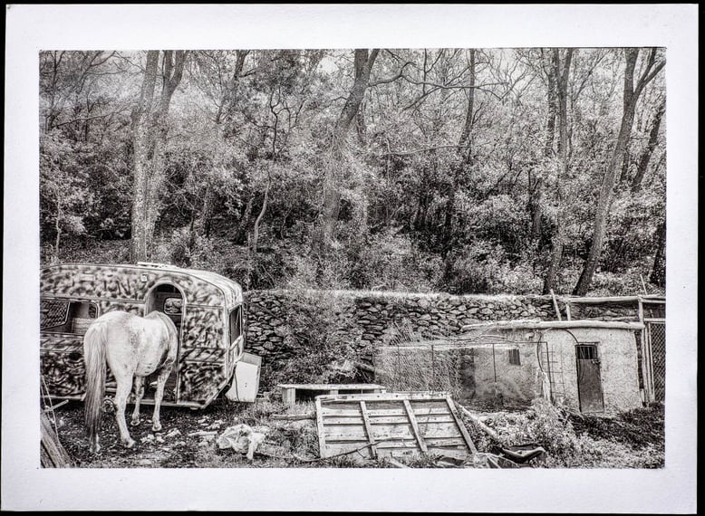 Alternative Photography