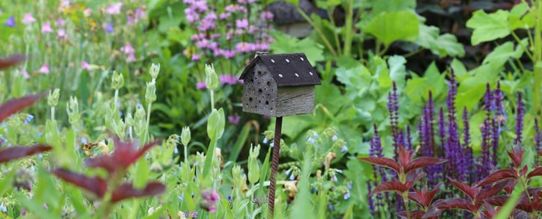 Naturnaher Garten mit Insektennistkasten, Foto: Carola Bria