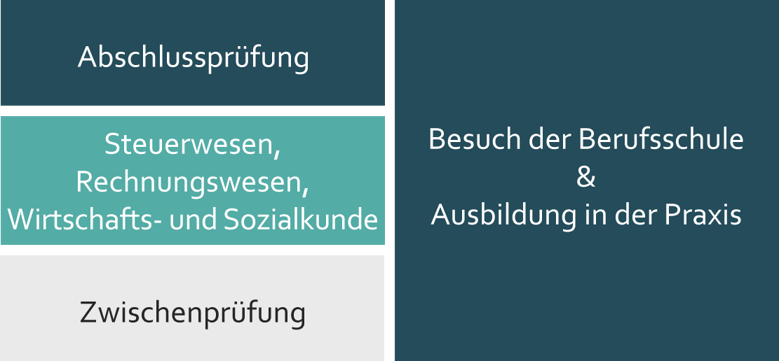 Ausbildung zur Steuerfachangestellten - Vom Ausbildungsbeginn bis zur Abschlussprüfung