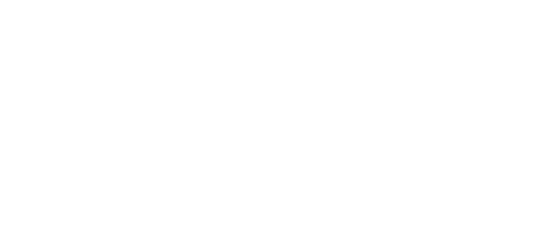 Garage Fuhrer Brienz 