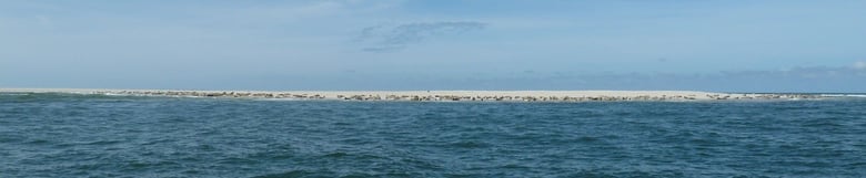 Jungnahmensand 2011, kein Liegeplatz mehr frei; NAHMEN war ein mittlerweile ausgestorbener Amrumer Clan; der letzte Nachfahre war mein Jugendfreund, er starb im Alter von 14 j.