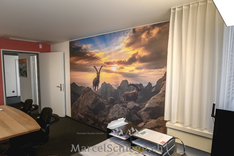 Marcel Schiegg, Wandbild, Spannbild, Wanddekoration, Appenzell, Appenzellerland, Raumakustik, LED Wandbild, Steinbock, Rotsteinpass