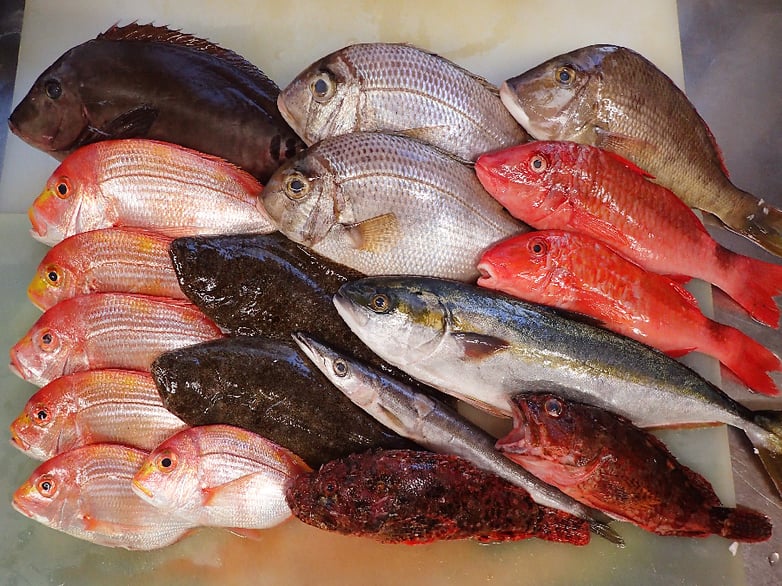 文京区本郷　デリバリー　寿司