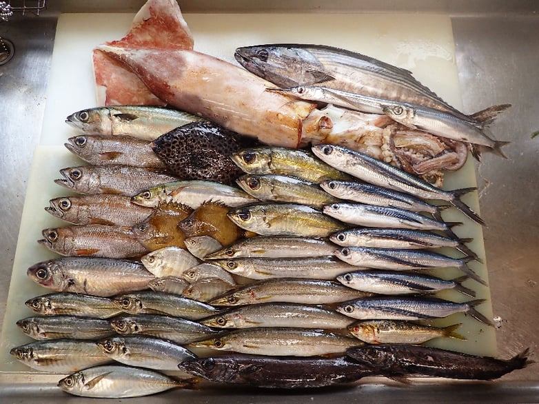 江東区　千石　出前　デリバリー