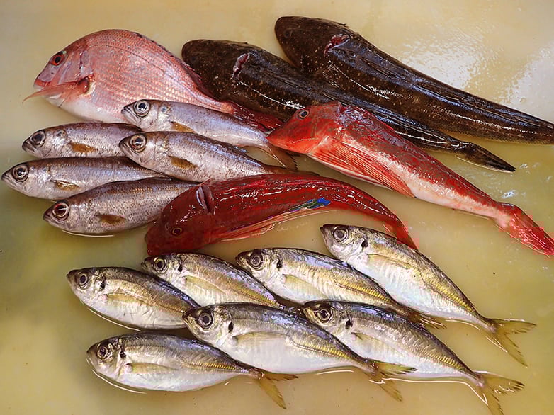 産地直送-天然地魚-寿司の出前