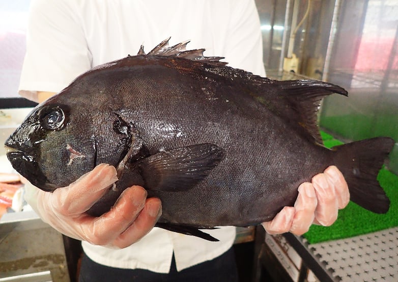 デリバリー　江戸川区一之江