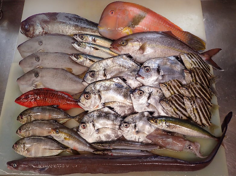 日本橋蛎殻町　納会　寿司　出前