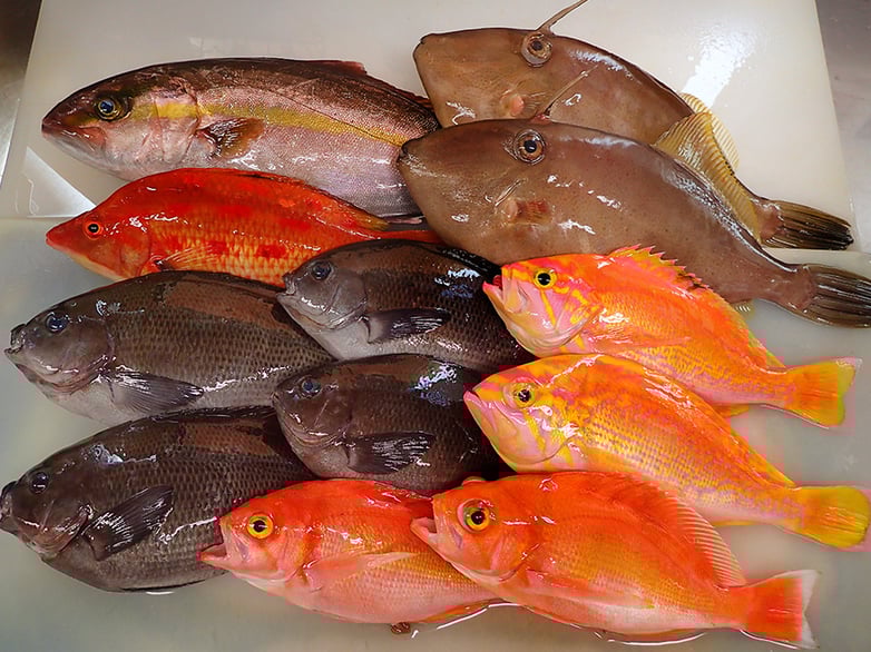 千代田区　神田小川町