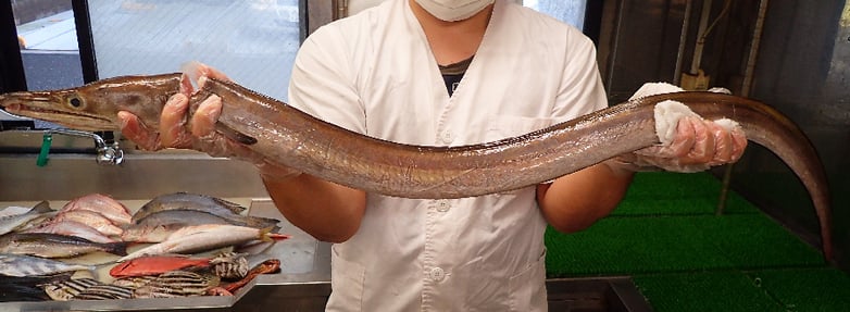 ハモの寿司　デリバリー