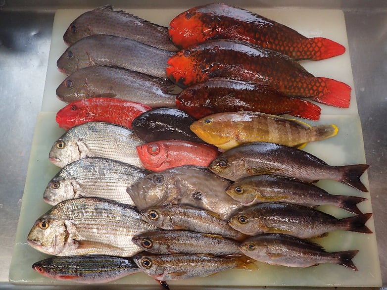 江東区　高橋　出前　デリバリー