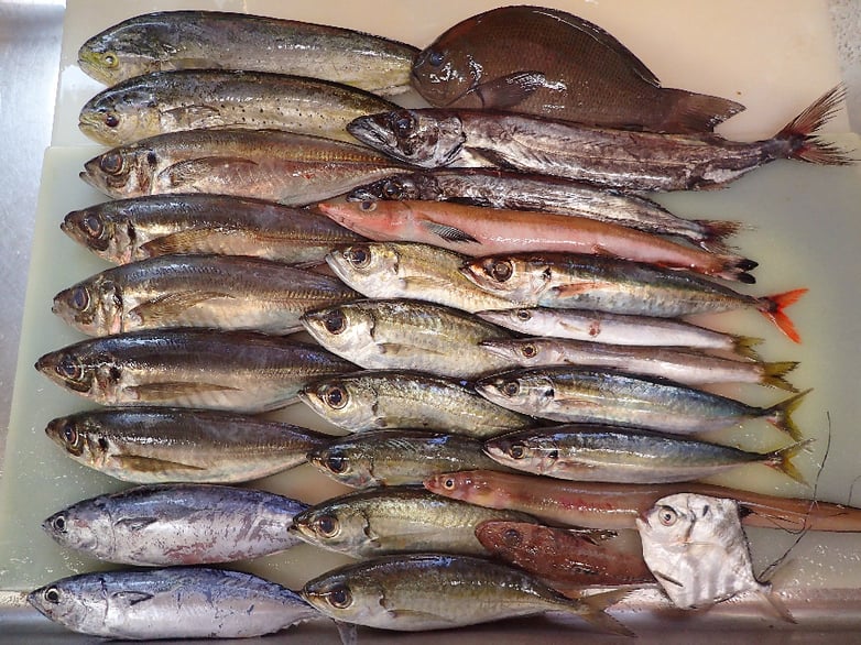 新宿区荒木町　出前　デリバリー