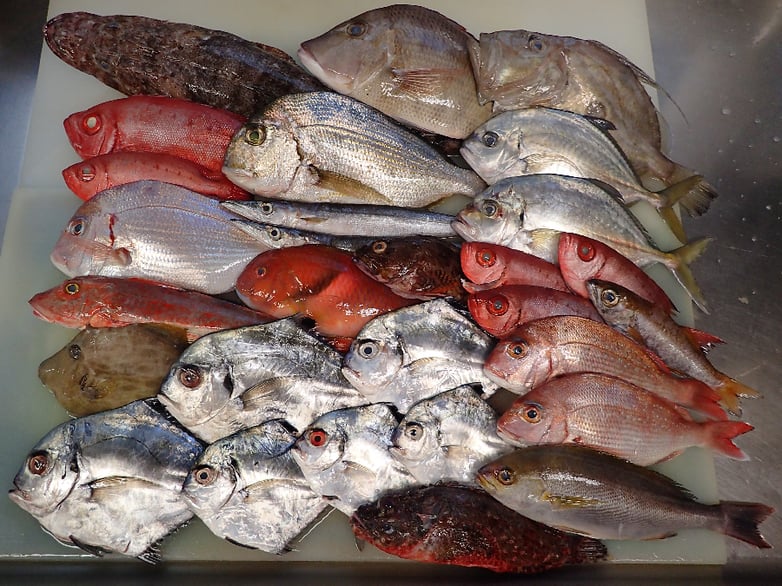 皇居外苑　納会　デリバリー