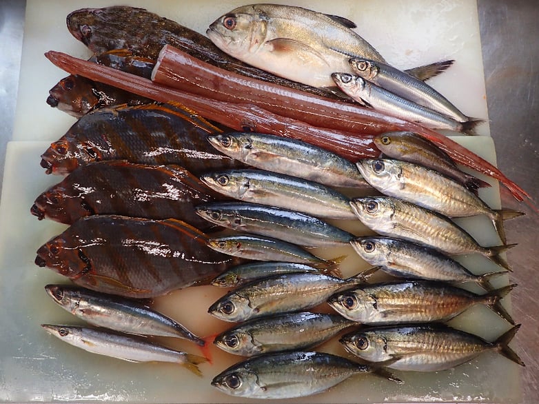 台東区龍泉　出前　デリバリー