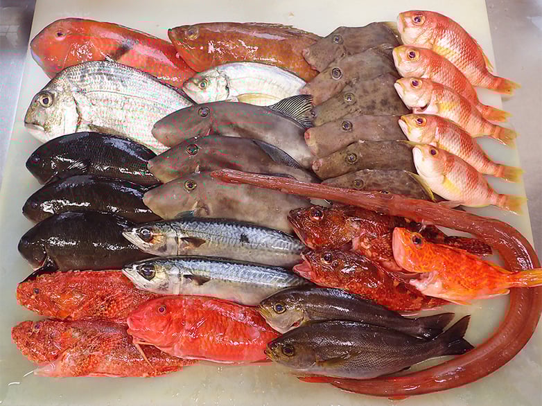 出前館　寿司　出前　美味しい宅配寿司