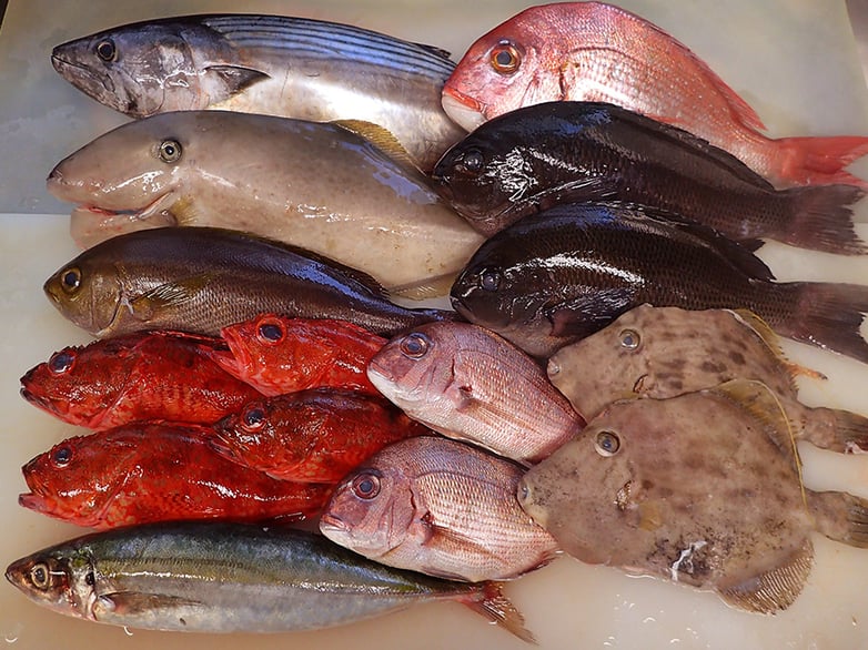 新鮮　美味しいお寿司を宅配します