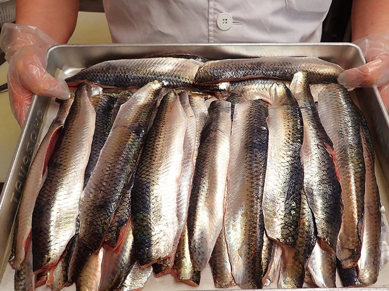 ニシンの仕込　フィーレにする