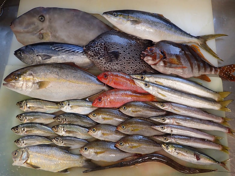 高輪　年末年始　出前