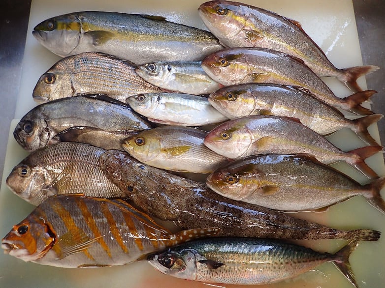 納会　デリバリー