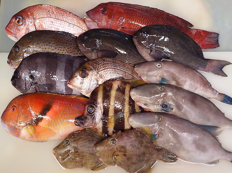 宅配寿司　渋谷区　大山町