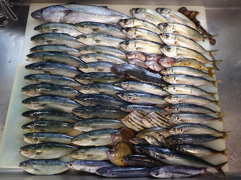 港区　東麻布　寿司　出前