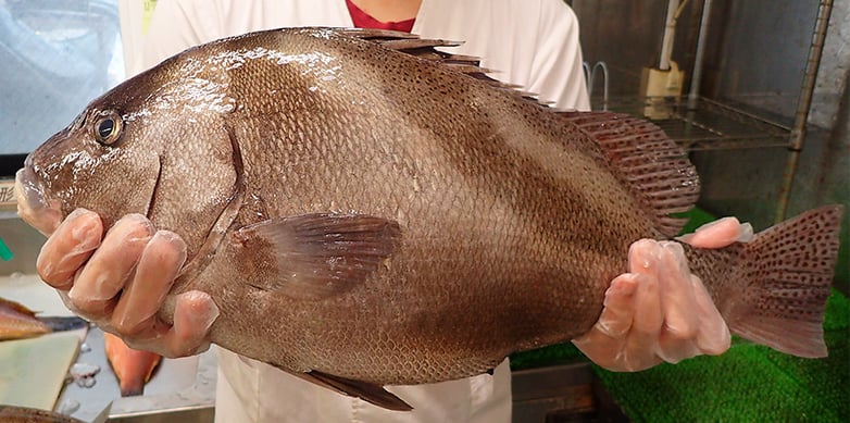 寿司　出前　文京区　白山