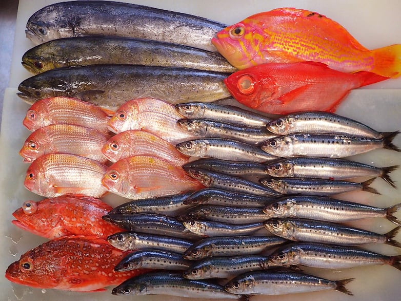 千代田区　寿司　出前