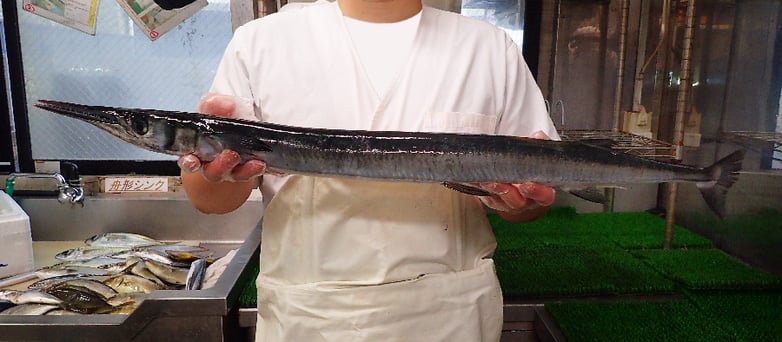 ダツの寿司 出前 デリバリー