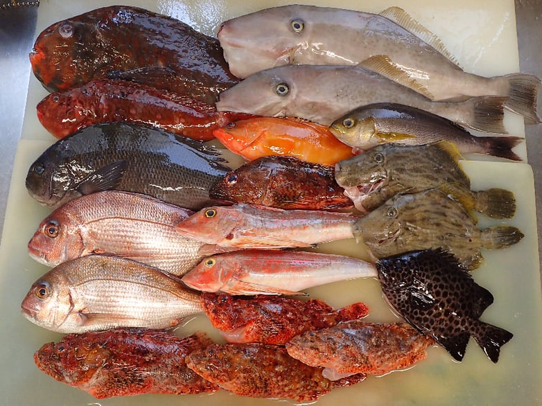 日本橋中洲　寿司　出前