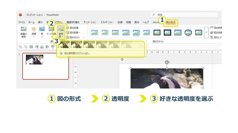 パワーポイントの「画像の透明度」とは？