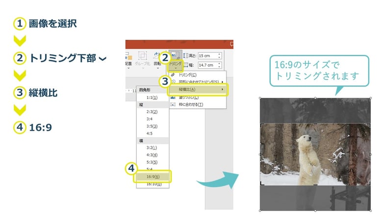 パワーポイントで、トリミングする際、「16：9」や「正方形」など、比率を指定することができます。