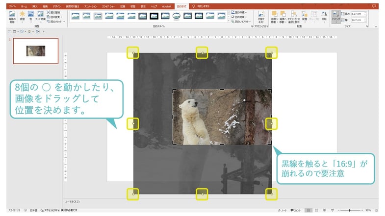 パワーポイントで、画像のトリミングの縦横の比率（正方形、など）を決めたあとも、画像の位置を変えることはできます。