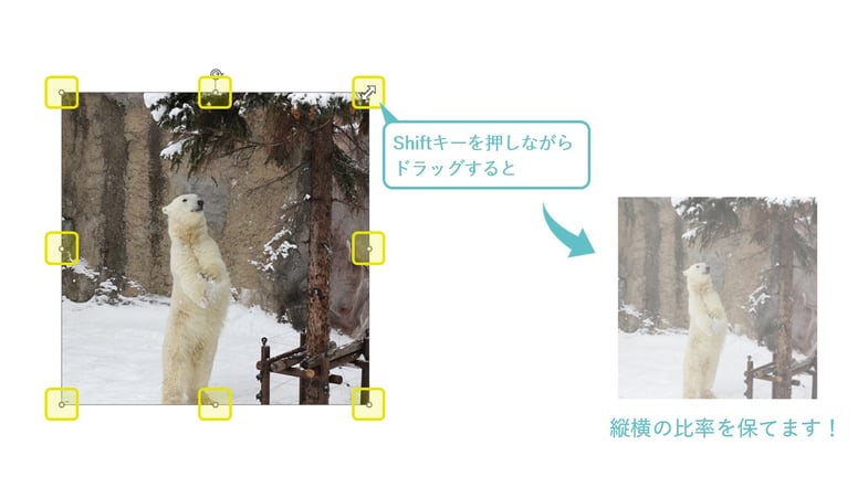 パワーポイントで、画像のサイズを変える際、縦横の比率を崩したくない時は、shiftキーを使います。