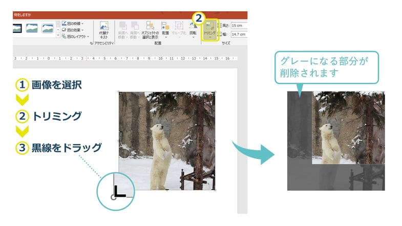 パワーポイントで画像の要らない部分を消す（トリミング）の方法。