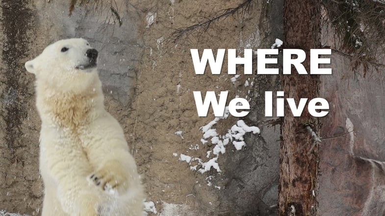 パワーポイントの「画像のトリミング」をうまく活用した例