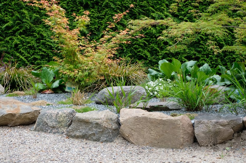 dieartigeGARTEN // Japanischer Bauerngarten - Natursteinkante mit Japan. Ahorn, Japangras, Seggen, Bergenien