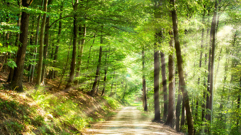 Weg der Selbstentdeckung und Wiederherstellung der inneren Harmonie