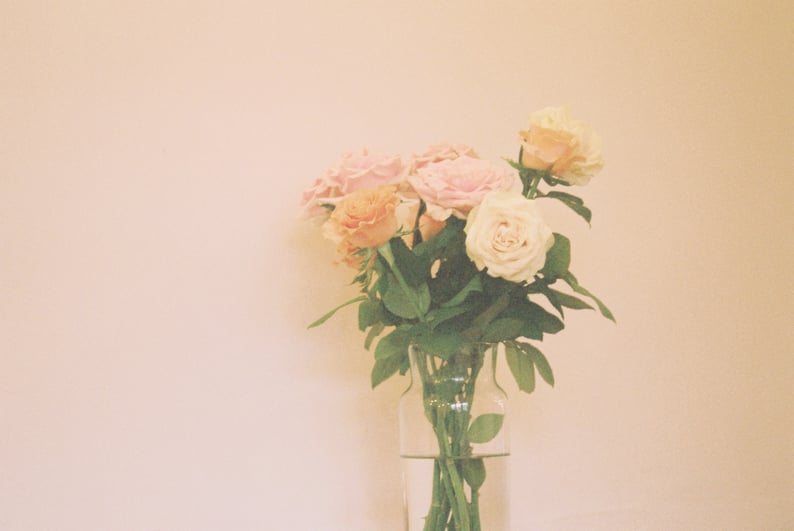 2020 SUMMER NIIKON F65 AF Zoom Nikkor 28-80mm F3.3-5.6G FUJIFILM SUPERIA X-TRA400