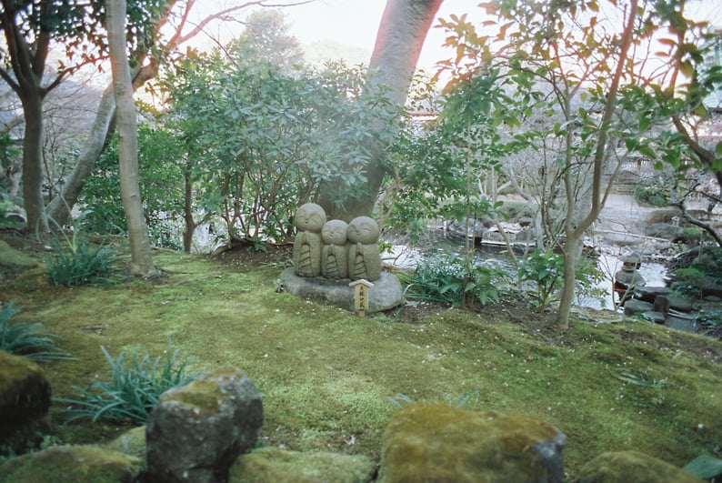 2020 Spring Kamakura HaseTemple PENTAX MV1 SMCTAKMAR 24mm f3.5