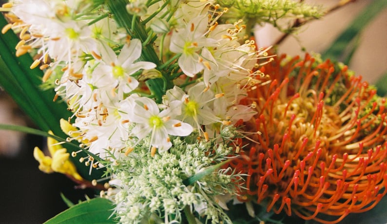 2021 SUMMER NIKON PRONEA S IX Nikkor 30-60mm F4-5.6 voigtlander vxg200 APS FILM CAMERA APS FILM