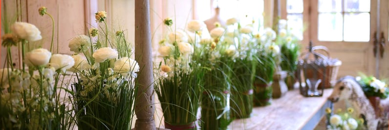 資格取得者の声