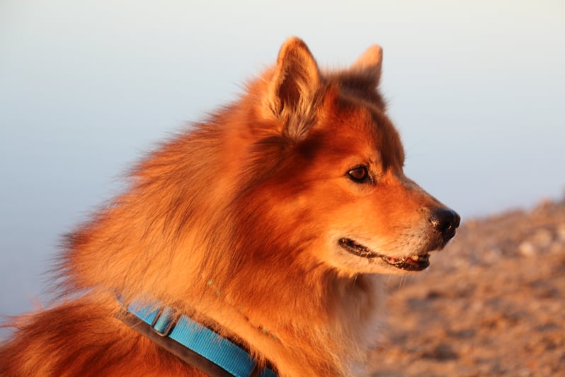 Ferien Frankreich 2018