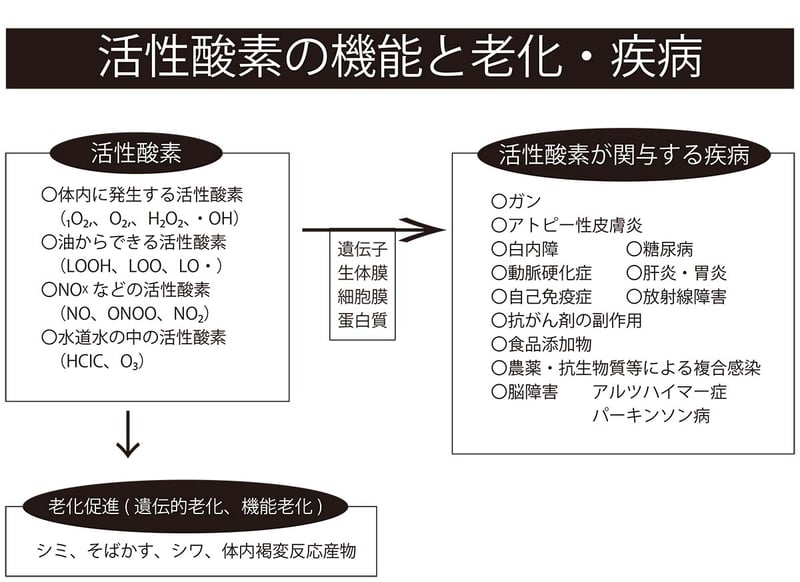 活性酸素の機能と老化・疾病