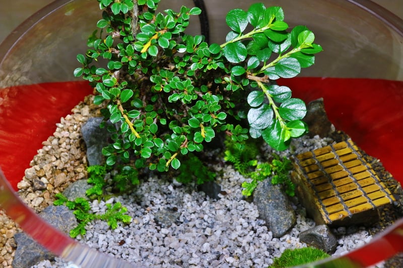 京都市下京区、心療内科、メンタルクリニック、女医、庭園、